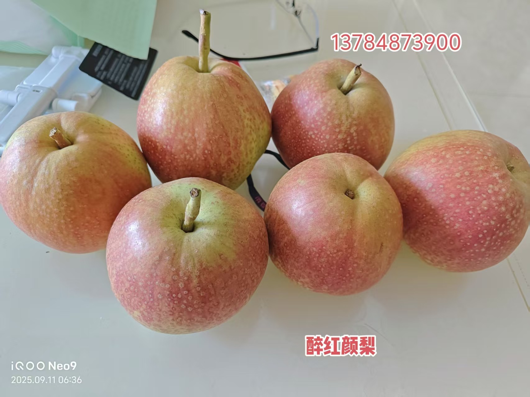 醉红颜梨